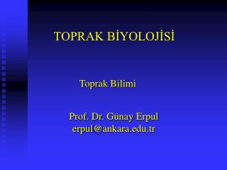 TOPRAK BİYOLOJİSİ