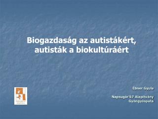 Ébner Gyula Napsugár’67 Alapítvány Gyöngyöspata