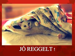 JÓ REGGELT !