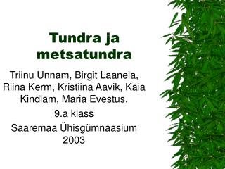 Tundra ja metsatundra