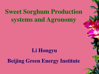 Sweet Sorghum Production systems and Agronomy Li Hongyu Beijing Green Energy Institute