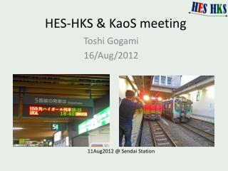 HES-HKS &amp; KaoS meeting