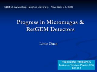 Progress in Micromegas &amp; RetGEM Detectors