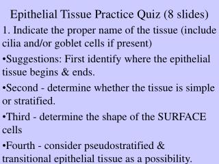 Epithelial Tissue Practice Quiz (8 slides)
