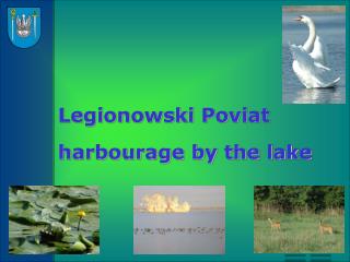 Legionowski Poviat harbourage by the lake