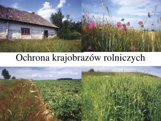 Ochrona krajobrazów rolniczych