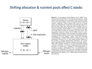 Shifting allocation & nutrient pools affect C stocks
