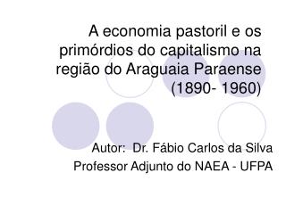 A economia pastoril e os primórdios do capitalismo na região do Araguaia Paraense (1890- 1960)