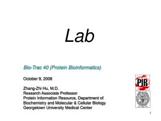 Lab