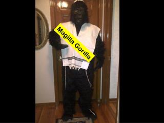 Magilla Gorilla