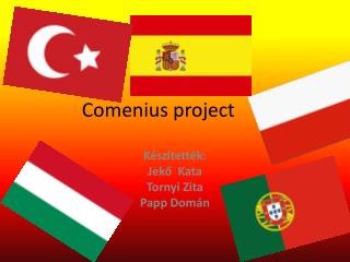 Comenius project