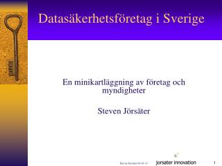 Datasäkerhetsföretag i Sverige