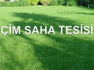 ÇİM SAHA TESİSİ