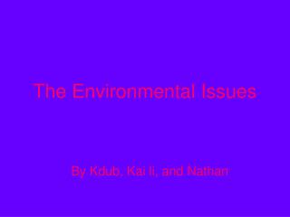 The Environmental Issues