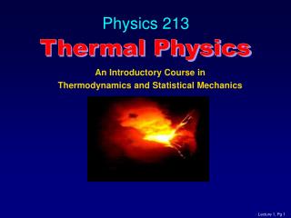 Physics 213