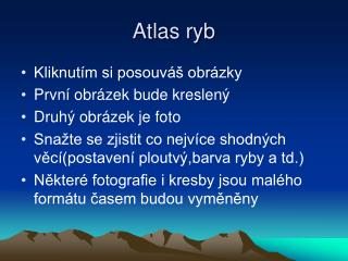 Atlas ryb