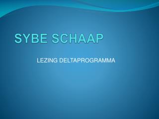 SYBE SCHAAP