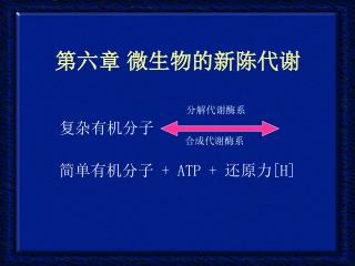 第六章 微生物的新陈代谢