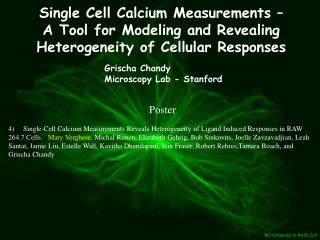Single Cell Calcium Measurements –