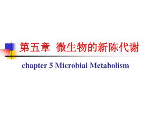 第五章 微生物的新陈代谢