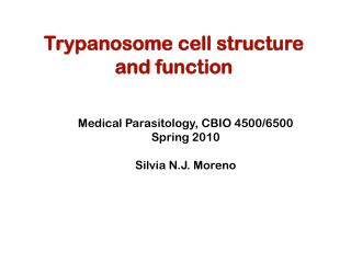 Trypanosome cell structure and function
