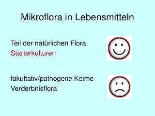 Mikroflora in Lebensmitteln