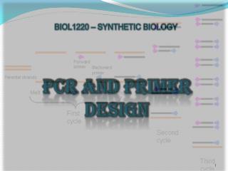 PCR AND PRIMER DESIGN