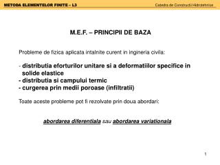 M.E.F. – PRINCIPII DE BAZA