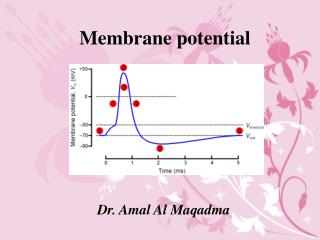 Membrane potential