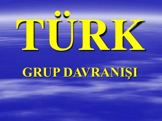 TÜRK GRUP DAVRANIŞI