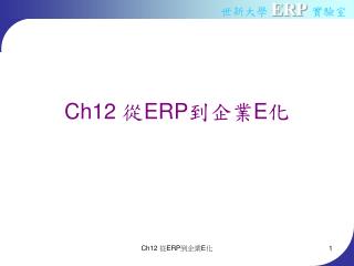 Ch12 從 ERP 到企業 E 化
