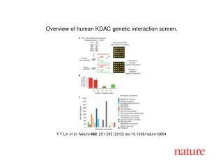 Y-Y Lin et al . Nature 482 , 251-255 (2012) doi:10.1038/nature10804