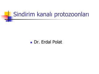 Sindirim kanalı protozoonları