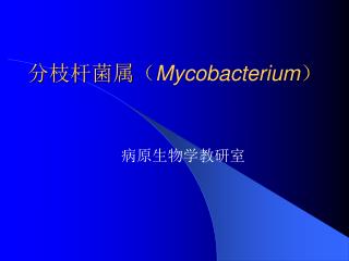 分枝杆菌属（ Mycobacterium ）