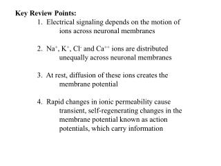 Key Review Points: