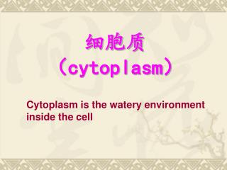 细胞质 （ cytoplasm ）