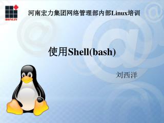 使用 Shell(bash)