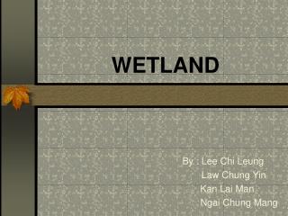 WETLAND