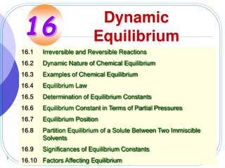 Dynamic Equilibrium