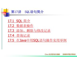 第 17 讲 SQL 语句简介