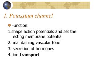1. Potassium channel