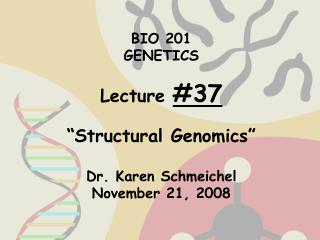 BIO 201 GENETICS Lecture #37 “Structural Genomics” Dr. Karen Schmeichel November 21, 2008