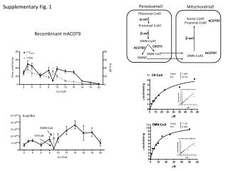 Supplementary Fig. 1