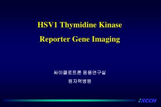 HSV1 Thymidine Kinase Reporter Gene Imaging
