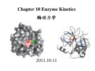 Chapter 10 Enzyme Kinetics 酶动力学 2011.10.11