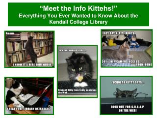 “Meet the Info Kittehs!” Everything You Ever Wanted to Know About the Kendall College Library