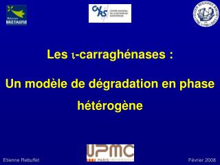 Les i -carraghénases : Un modèle de dégradation en phase hétérogène