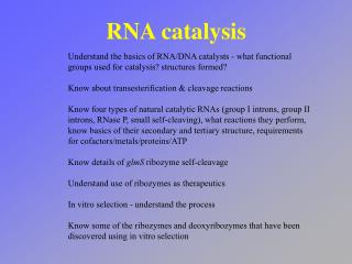 RNA catalysis