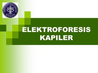 ELEKTROFORESIS KAPILER