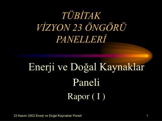 TÜBİTAK VİZYON 23 ÖNGÖRÜ PANELLERİ